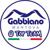 logo-gabbiano-partner-2026-2027_cerani-engineering